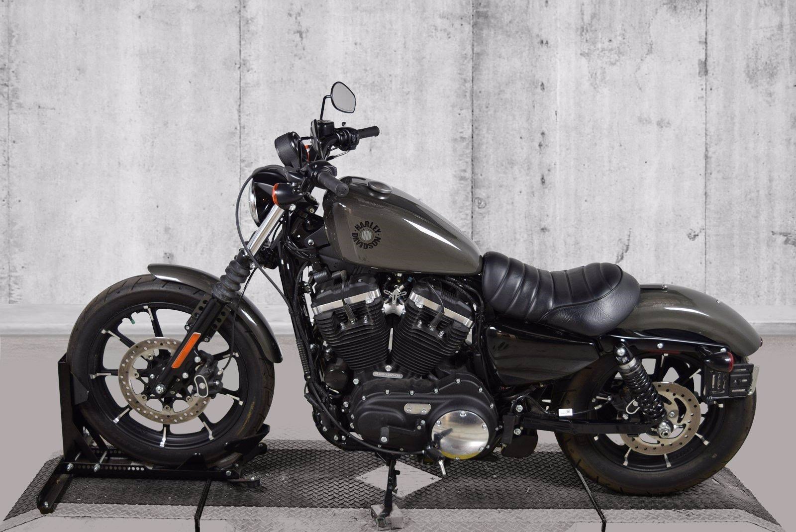Pre-Owned 2019 Harley-Davidson Sportster Iron 883 XL883N Sportster in