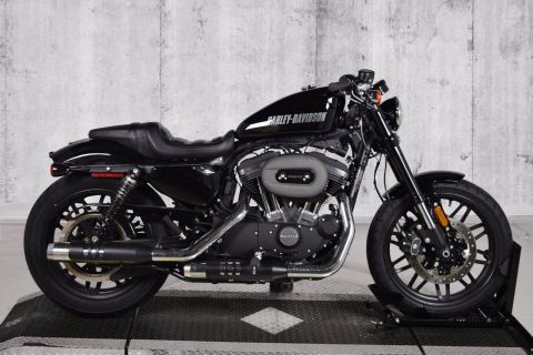 used harley roadster for sale